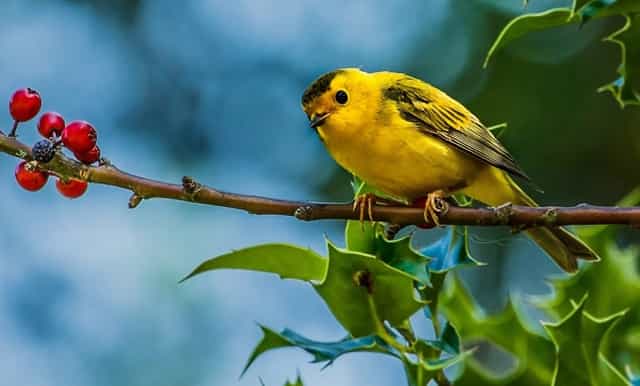 从入职第一天起