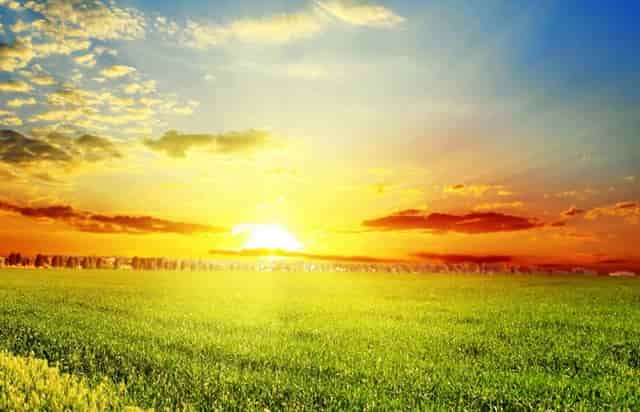 学党是什么初心