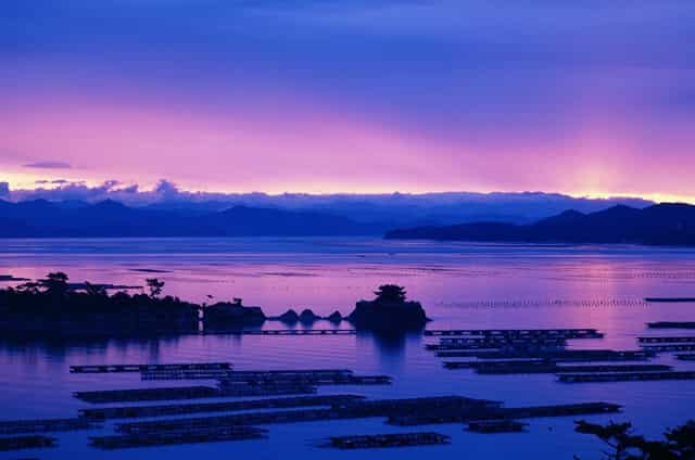 如何注销苹果手机iphone