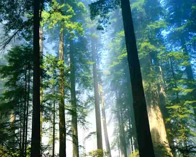 枣庄解放路农商银行电话