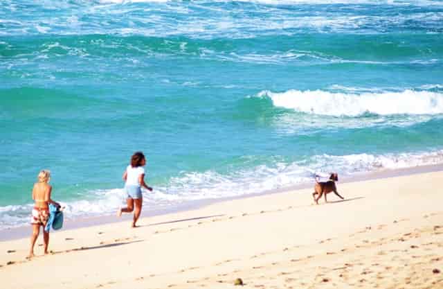 考研考试哪个专业最难